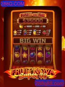 Tudo o Que Você Precisa Saber Sobre FruitNovaSuper40