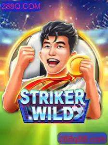 Explorando o Mundo de StrikerWILD: O Jogo do Momento